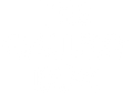 THE GALLERY BOX