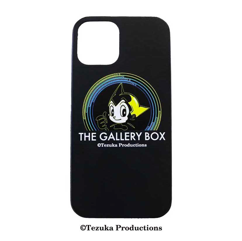 THE GALLERY BOX